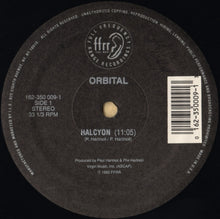 Load image into Gallery viewer, Orbital : Halcyon (12")