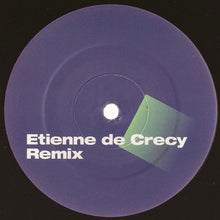 Load image into Gallery viewer, Furry Phreaks Featuring Terra Deva : Want Me (Like Water) (2x12")