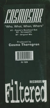 Load image into Gallery viewer, Cosmostar : Who, What, When, Where (12")