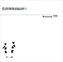 Load image into Gallery viewer, Terrace : Round Up (2x12", Album)