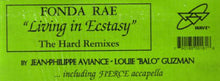 Load image into Gallery viewer, Fonda Rae : Living In Ecstasy (Remixes) (12")