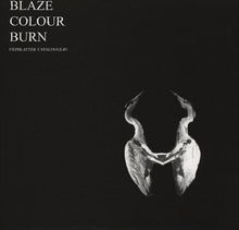 Load image into Gallery viewer, Jan St. Werner : Blaze Colour Burn (LP, Album)