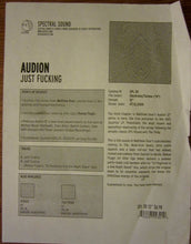 Load image into Gallery viewer, Audion : Just Fucking (12")