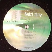 Load image into Gallery viewer, Lo-Motion : Field Day (12")