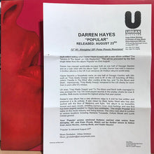Load image into Gallery viewer, Darren Hayes : Popular (12", Promo)