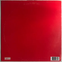 Load image into Gallery viewer, El Payo Featuring Marga Nero : Andar No Ar (Vocal Mix & Dub Mix) (12")