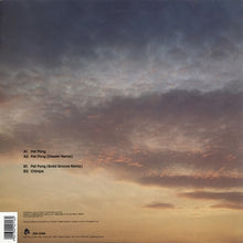 Load image into Gallery viewer, Pest : Pat Pong (12")