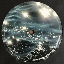 Load image into Gallery viewer, Pest : Pat Pong (12")
