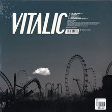 Load image into Gallery viewer, Vitalic : No Fun (12")