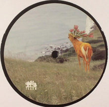 Load image into Gallery viewer, Dominik Eulberg : Flora & Fauna (Remixe Teil 2) (12")