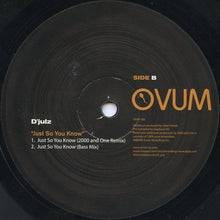 Load image into Gallery viewer, D'julz : Just So You Know (12")