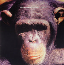 Load image into Gallery viewer, Rob Mello Featuring Stella Attar : Critical (12")