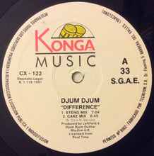 Load image into Gallery viewer, Djum Djum : Difference (12")