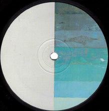 Load image into Gallery viewer, Two Lone Swordsmen : Swimming Not Skimming (2x12", EP)