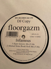 Load image into Gallery viewer, Floorgazm : Infamous / Vicious House (12", Promo)