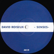 Load image into Gallery viewer, David Roiseux : Senses (12")