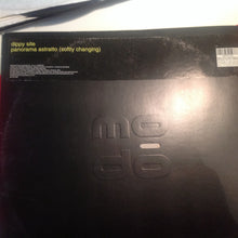 Load image into Gallery viewer, Dippy Site : Panorama Astratto (Softly Changing) (12")