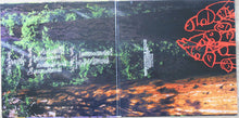 Load image into Gallery viewer, Mr. Oizo : Analog Worms Attack (2xLP, Album)