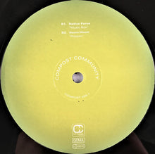 Load image into Gallery viewer, Various : Compost Community (3x12", Comp)