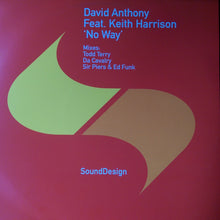 Load image into Gallery viewer, David Anthony : No Way (12")