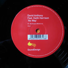 Load image into Gallery viewer, David Anthony : No Way (12")