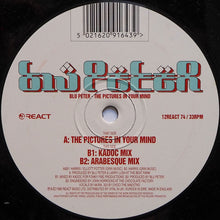 Load image into Gallery viewer, Blu Peter : The Pictures In Your Mind (12")