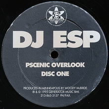 Load image into Gallery viewer, DJ ESP : Pscenic Overlook (2x12")