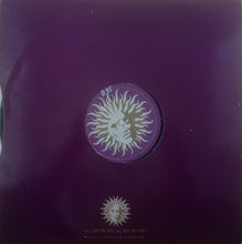 Load image into Gallery viewer, DJ Krust* : Guess / Maintain (12")