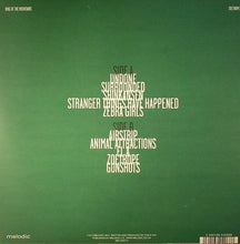 Load image into Gallery viewer, King Of The Mountains : Zoetrope (LP, Album, Ltd)