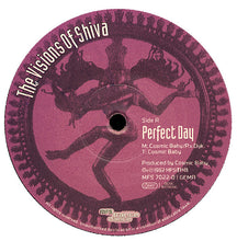 Load image into Gallery viewer, The Visions Of Shiva : Perfect Day (12")
