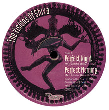 Load image into Gallery viewer, The Visions Of Shiva : Perfect Day (12")