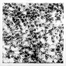 Load image into Gallery viewer, Head Boggle : Serge Modular In Hi-Fi (LP, Album, Ltd)