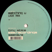 Load image into Gallery viewer, Tiny Stikz : Watching U (12")
