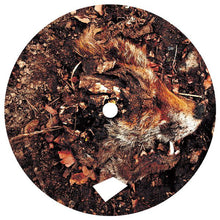 Load image into Gallery viewer, Savagen : Practically Educated (12", Ltd)