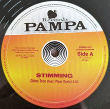 Load image into Gallery viewer, Stimming : Southern Sun (12")