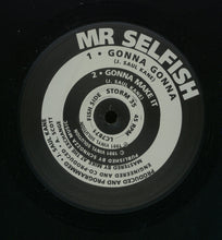 Load image into Gallery viewer, Mr Selfish* : Mr Selfish (12", Promo, W/Lbl)