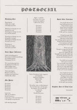 Load image into Gallery viewer, Wold : Postsocial (LP, Blu)