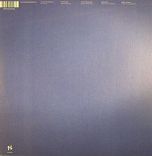 Load image into Gallery viewer, Second Storey : Shaman Champagne (12")