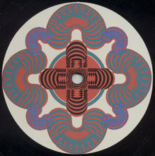 Load image into Gallery viewer, Maarten van der Vleuten : TZ 2 (12")