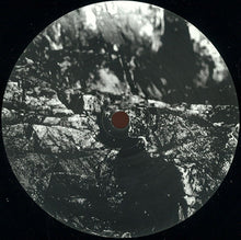 Load image into Gallery viewer, Shcuro : Black Acid (12")