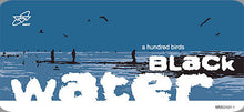 Load image into Gallery viewer, A Hundred Birds : Black Water (12")