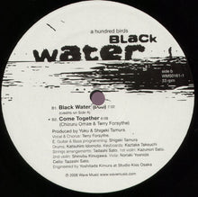 Load image into Gallery viewer, A Hundred Birds : Black Water (12")