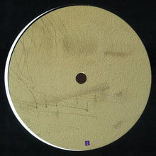 Load image into Gallery viewer, Nicuri : Outflight (12")