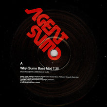 Load image into Gallery viewer, Agent Sumo : Why (2x12", Promo)