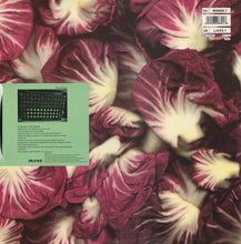 Load image into Gallery viewer, Orbital : Radiccio 1 (12", EP)