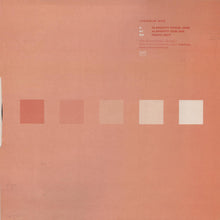 Load image into Gallery viewer, Precious (2) : New Beginning (12", Promo)