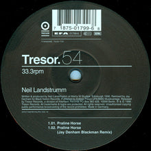 Load image into Gallery viewer, Neil Landstrumm : Praline Horse (12")