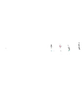 Load image into Gallery viewer, Anom Vitruv : Anomie (LP, Album)