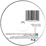 Load image into Gallery viewer, Tony Touch Featuring Total : I Wonder Why? He's The Greatest DJ - The Remixes (12")