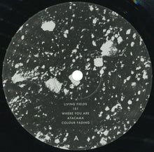 Load image into Gallery viewer, Portico* : Living Fields (LP, Album + CD, EP)